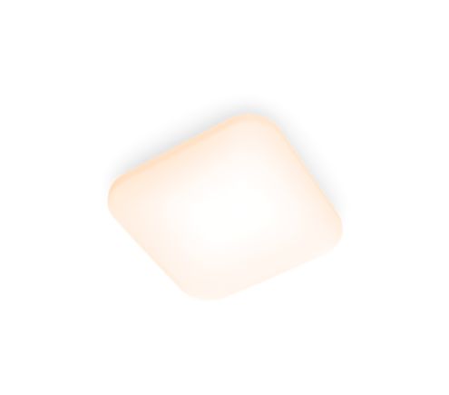 8720169195455