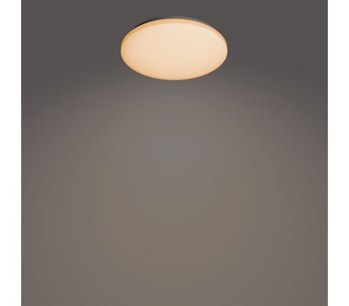 8720169196070
