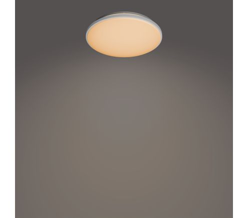 8720169196117