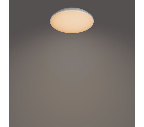 8720169196131