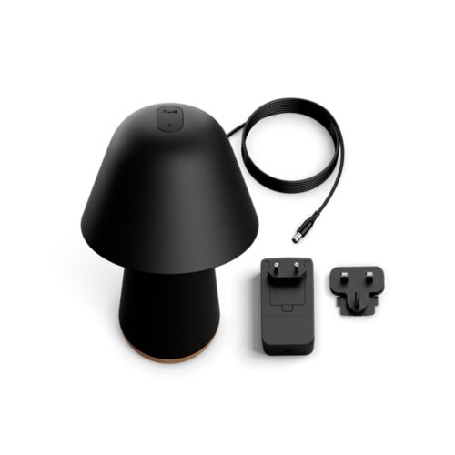 A black bedside lamp, a power adapter with two plug options, and a connected cable are placed on a white background.