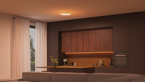 Datura Ceiling Light