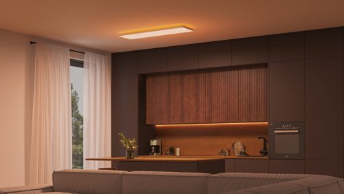 Datura Ceiling Light