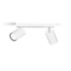 Ceiling/Wall Spotlights Idris Ceiling/Wall Spotlight 2x