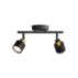 Ceiling/Wall Spotlights Niall Ceiling/Wall Spotlight 2x