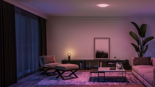 Ceiling light and table lamp cast a soft ambient glow in a modern living room with a sofa, indoor plant, and wall art.