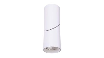 LED Luminaire 10W Flex Pro COB (WW) White