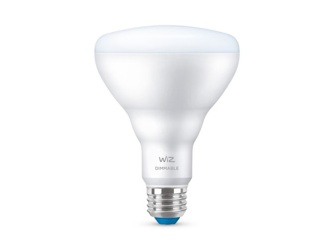 main.alt.text.RTP.LED Lamp Reflector BR30 E26