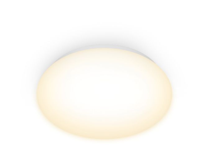 main.alt.text.RTP.WiZ Leuchte Decke