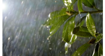 Impermeable