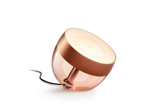 Hue White and color ambiance Iris copper special edition