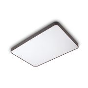 智能 Wi-Fi LED 吸顶灯