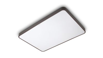 智能 Wi-Fi LED 吸顶灯