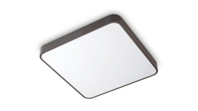 智能 Wi-Fi LED 吸顶灯