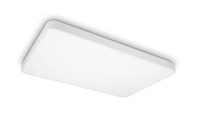 吸顶灯 吸顶灯 43 瓦矩形