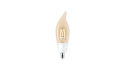 Smart LED Smart LED Filament ST19 Bulb, 500 lm