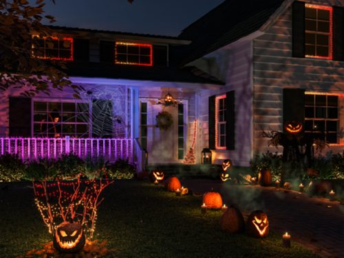Festavia string lights