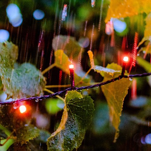 Hue White & Color Ambiance Festavia Lichterkette 20m