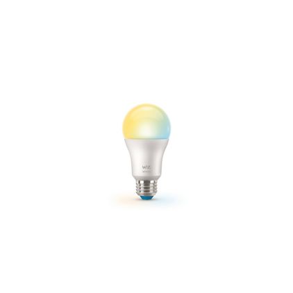 Close up of front of Bulb 100W A19 E26