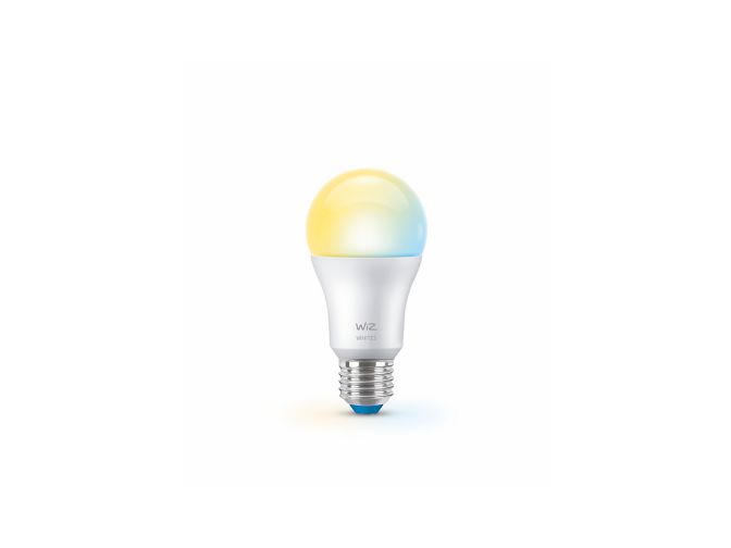 Nahaufnahme der Vorderseite von Lampe 100 W A60 E27