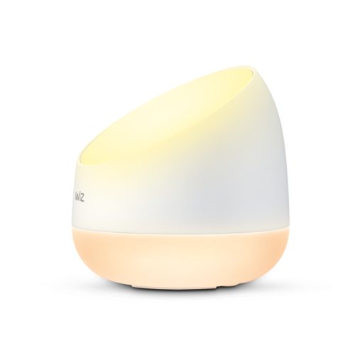 WiZ Luminaire Squire