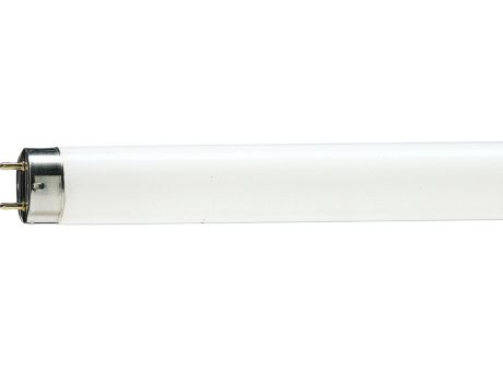 MASTER TL-D Food 18W/79 1SL/25