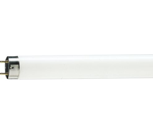 MASTER TL-D Food 18W/79 1SL/25