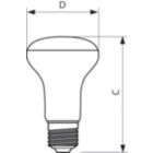  Single Contact Medium Screw BR30 Frosted