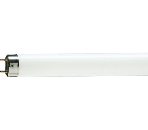 TL-D 58W/54-765 1SL/25