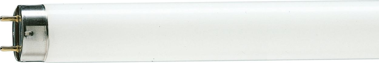 Éclairage fluorescent de base