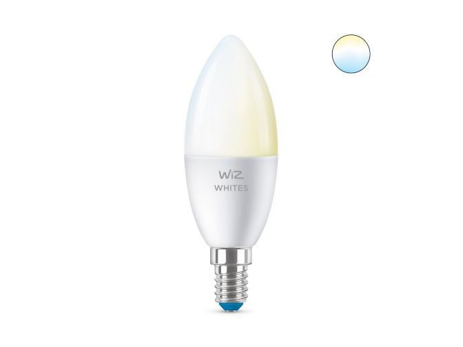 main.alt.text.RTP.LED-lamp Kaarslamp C37 E14