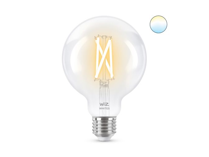main.alt.text.RTP.Filamentlamp Globe transparant 60W G95 E27