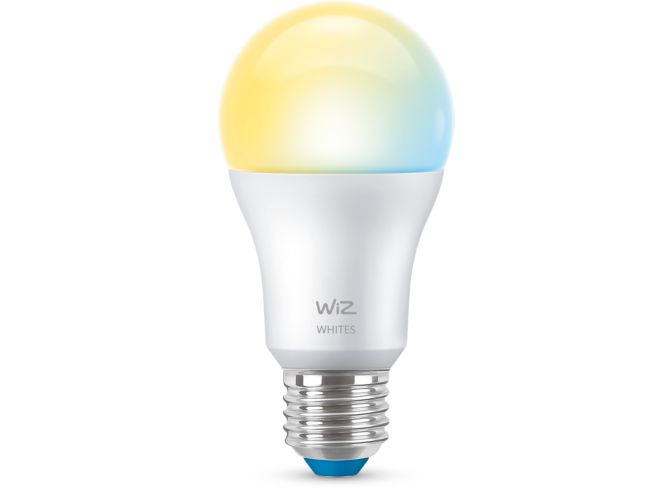 main.alt.text.RTP.Lamp 60 W A60 E27