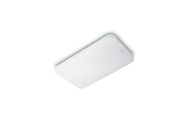 Apex Ceiling light
