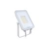 BVP167 LED36/830_40_65PSU 30W SWB WH