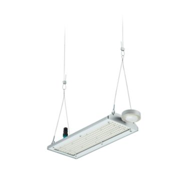 GentleSpace gen4, Interact Ready