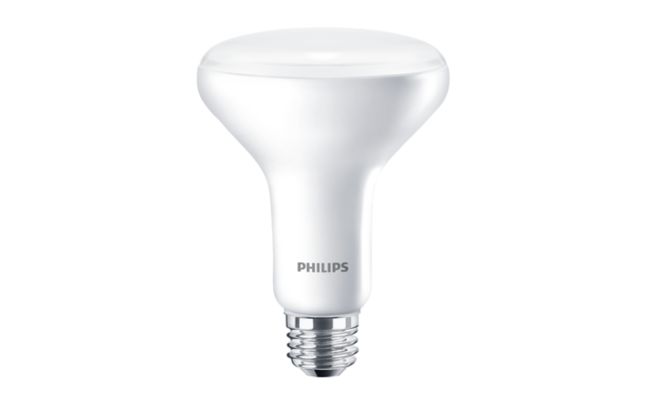 LED BR30