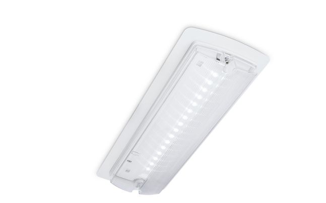 Emergency Light LED Bulkhead