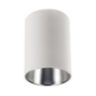Calculite 4" round cylinder with tunable white