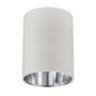 Calculite 6" surface cylinder downlight. Refer to spec sheet for entire catalog code.