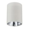 Calculite 6" wall cylinder wall wash. Refer to spec sheet for entire catalog code.