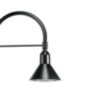Pima Pendant LED (CXF6) 32 LED, 350mA, 4000K, Flat Glass Lens, Type II