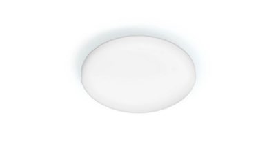 天花板燈 天花板燈