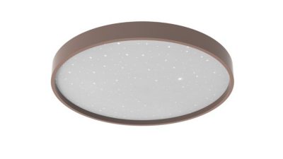 吸顶灯 吸顶灯 24 瓦