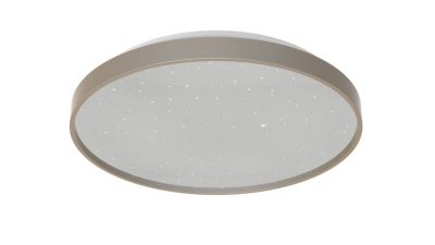 吸顶灯 吸顶灯 36 瓦