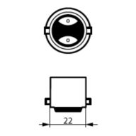Cap/Base