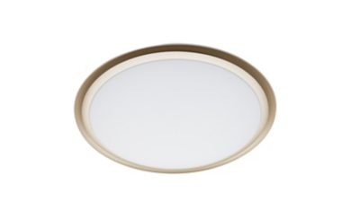 Ceiling Lights Ceiling Light 40W