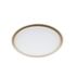 Ceiling Lights Ceiling Light 40W