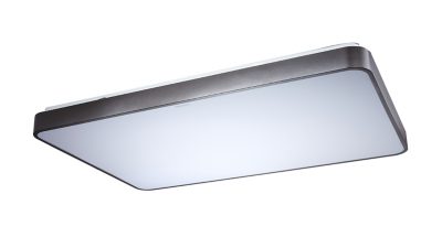 智能 LED 吸顶灯
