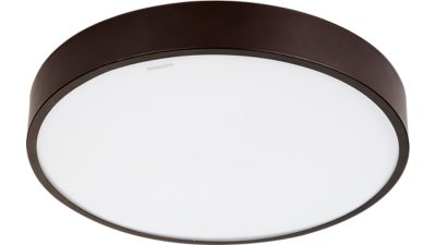 智能 LED 吸顶灯